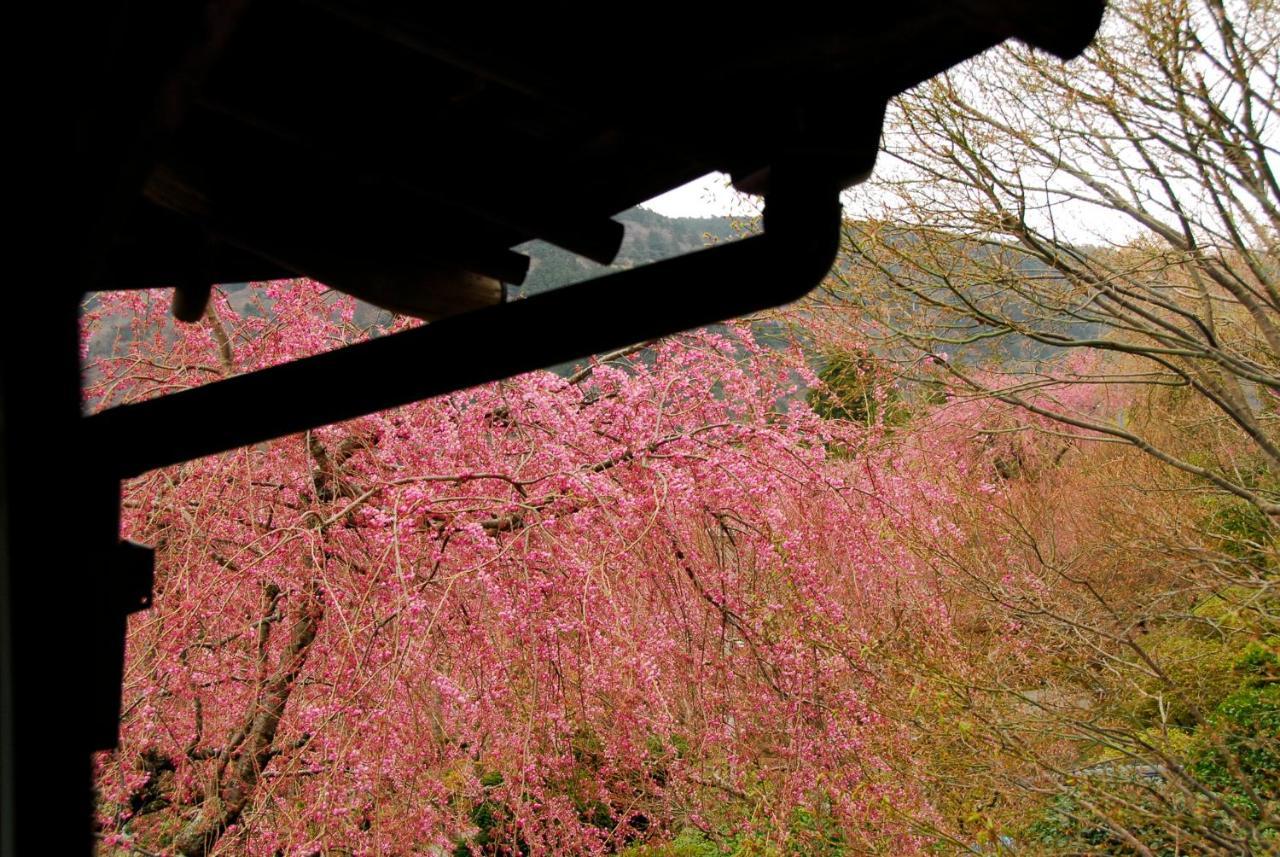 Hakone Kowakien Mikawaya Ryokan Exterior foto